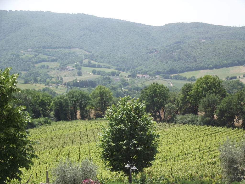 Agriturismo Regno Verde Narni Extérieur photo